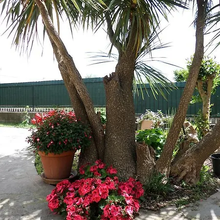 Villino Lory Frühstückspension Marino