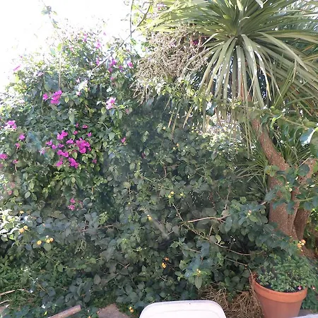 Bed and breakfast Villino Lory *